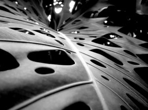 Dynamic Content Image